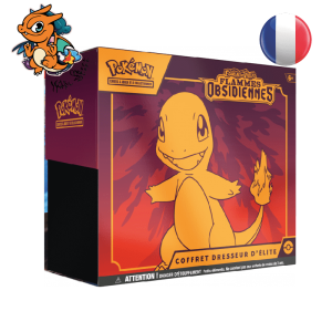 Coffret dresseur d'élite Pokemon Ev03