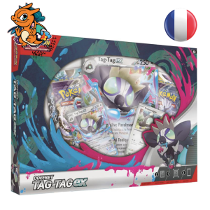 Coffret Pokemon Tag Tag EX