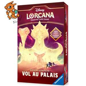 coffret vol au palais