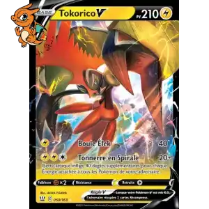 Tokorico V - Styles de Combat - 050/163