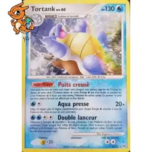 Tortank Lv.60 - Platine - 002/127