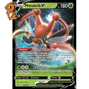 Mélokrik V - Styles de Combat - 006/163