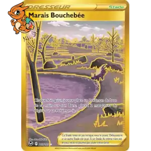 Marais Bouchebée - Tempête Argentée - 213/195