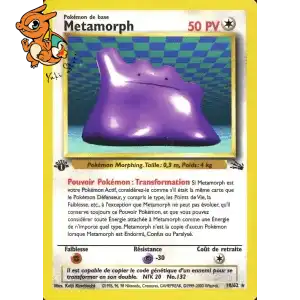 Metamorph - Fossile - 018/062