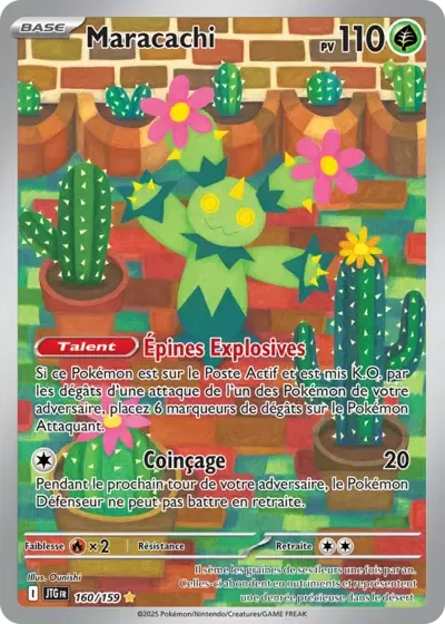 Maracachi - Aventures Ensembles - 160/159