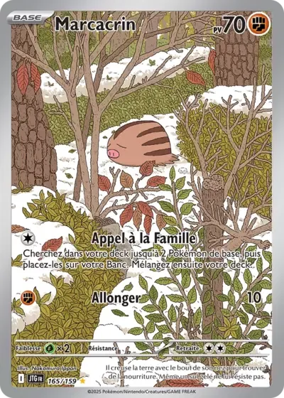Marcacrin - Aventures Ensembles - 165/159