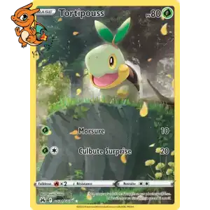 Tortipouss - Zénith Suprême - GG31/159