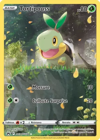 Tortipouss - Zénith Suprême - GG31/159