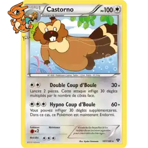 Castorno - XY - 107/146