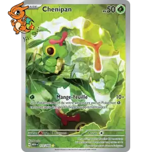 Chenipan - 151 - 172/165
