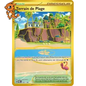Terrain de Plage - Faille Paradoxe - 263/182