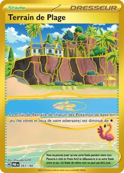 Terrain de Plage - Faille Paradoxe - 263/182