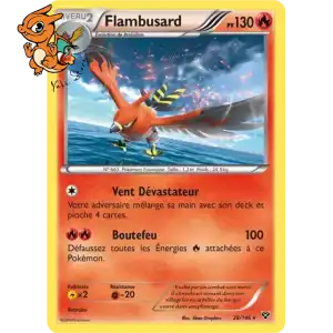 Flambusard - XY - 028/146