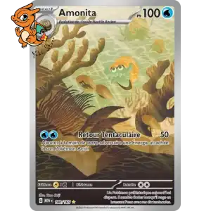 Amonita - 151 - 180/165