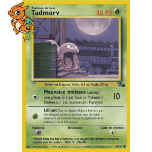Tadmorv - Fossile - 048/062
