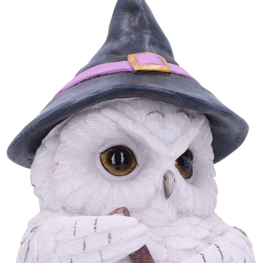 FANTAISIE - Owl Potion - Statuette 17cm – Image 5