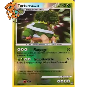 Torterra Lv.45 - Diamond & Pearl - 017