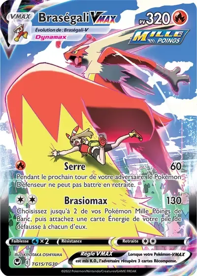 Braségali VMAX - Tempête Argentée - TG15/195