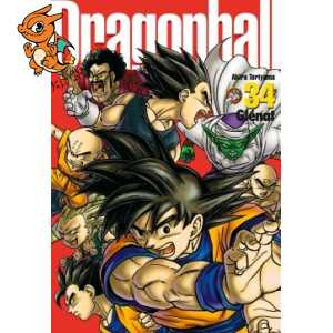 Dragon Ball perfect edition - Tome 34