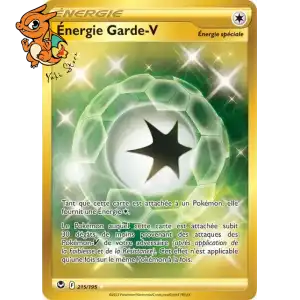 Énergie Garde-V - Tempête Argentée - 215/195