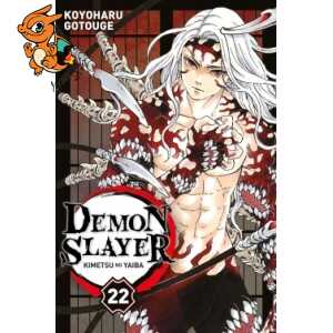 Demon Slayer T22