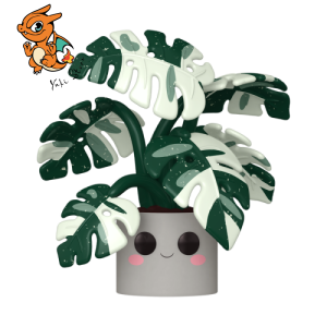FLORA - POP JUMBO N° 13 - Monstera