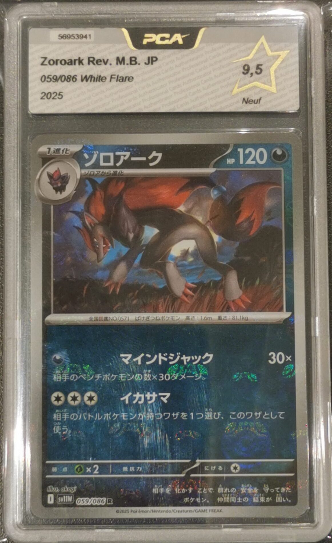 Zoroark Masterball - White Flare - 059/086 - PCA 9.5 - Japonais