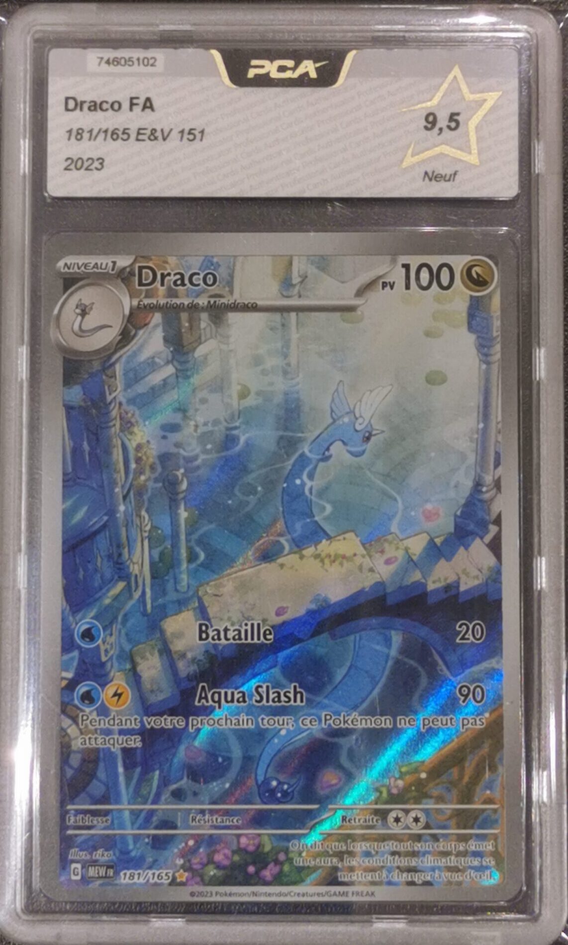 Draco - 151 - 181/165 - PCA 9.5 - Français