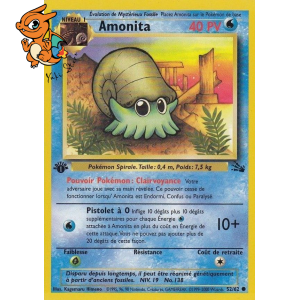 Amonita - Fossile - 052/062