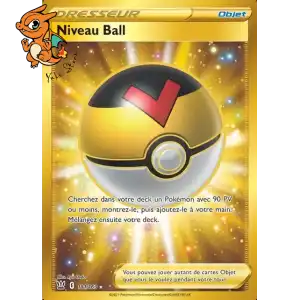 Niveau Ball - Styles de Combat - 181/163