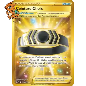 Ceinture Choix - Astres Radieux - 211/189