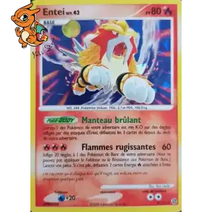Entei Lv.43 - Merveilles Secrètes - 004/132