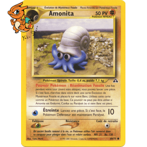 Amonita - Neo Discovery - 060/075