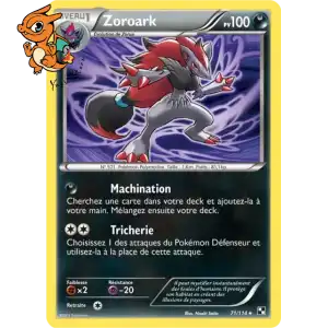 Zoroark - Noir & Blanc - 071/114