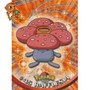 Rafflesia - Toppssérie1 - 045
