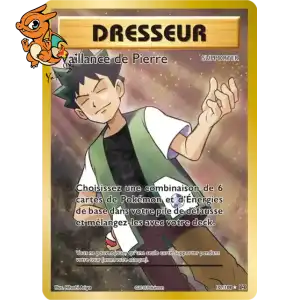 Vaillance de Pierre - XY Évolutions - 107/108