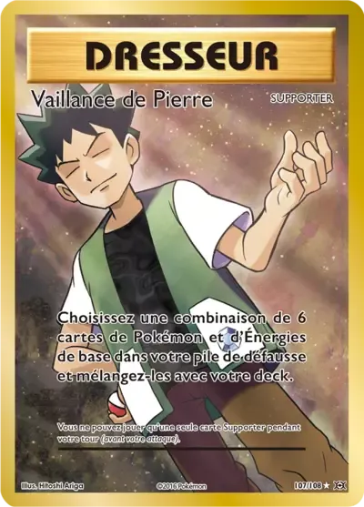 Vaillance de Pierre - XY Évolutions - 107/108