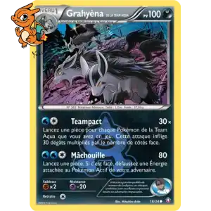 Team Aqua's Mightyena - Double Danger - 018/034