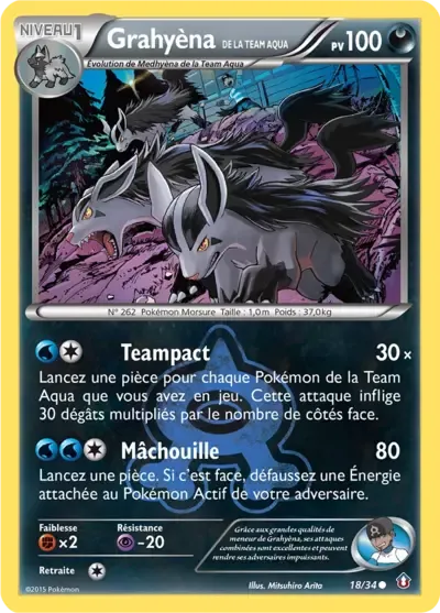 Team Aqua's Mightyena - Double Danger - 018/034