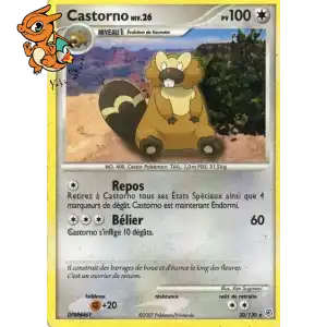 Castorno Lv.26 - Diamond & Pearl - 020