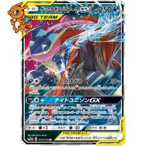 Amphinobi & Zoroark GX - Tag Team GX: Tag All Stars - 072/173