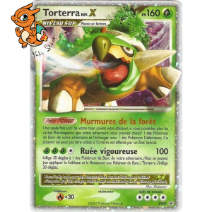 Torterra LV.X - Promos Diamant & Perle - 009