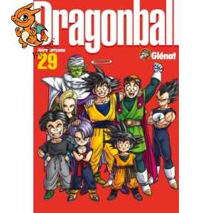 Dragon Ball perfect edition - Tome 29