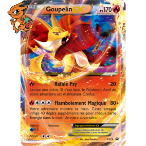Goupelin EX - Promos XY - 019