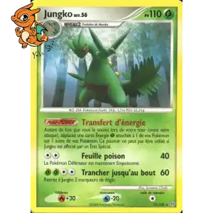 Jungko Lv.56 - Tempête - 010/100