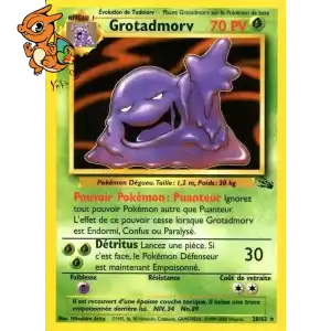 Grotadmorv - Fossile - 028/062