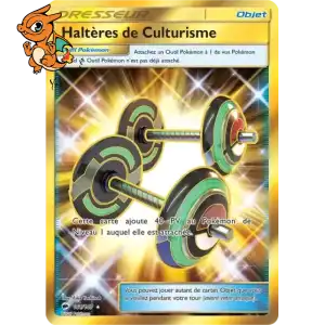 Haltères de Culturisme - Ombres Ardentes - 161/147