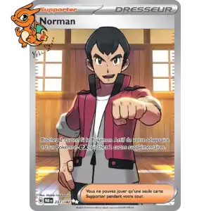 Norman - Faille Paradoxe - 237/182
