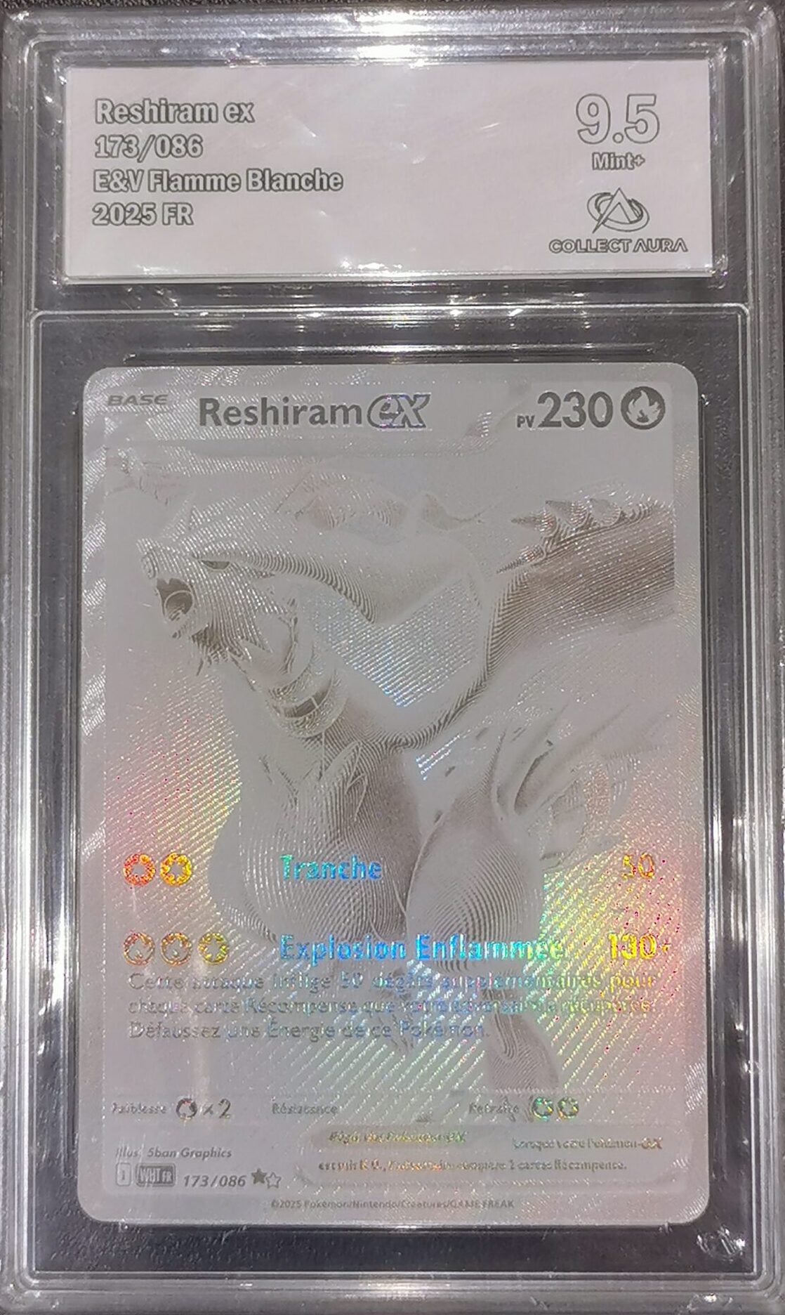 Reshiram ex - Flamme Banche - 173/086 - Collect Aura 9.5 - Français
