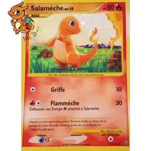 Salamèche Lv.10 - Tempête - 101/100